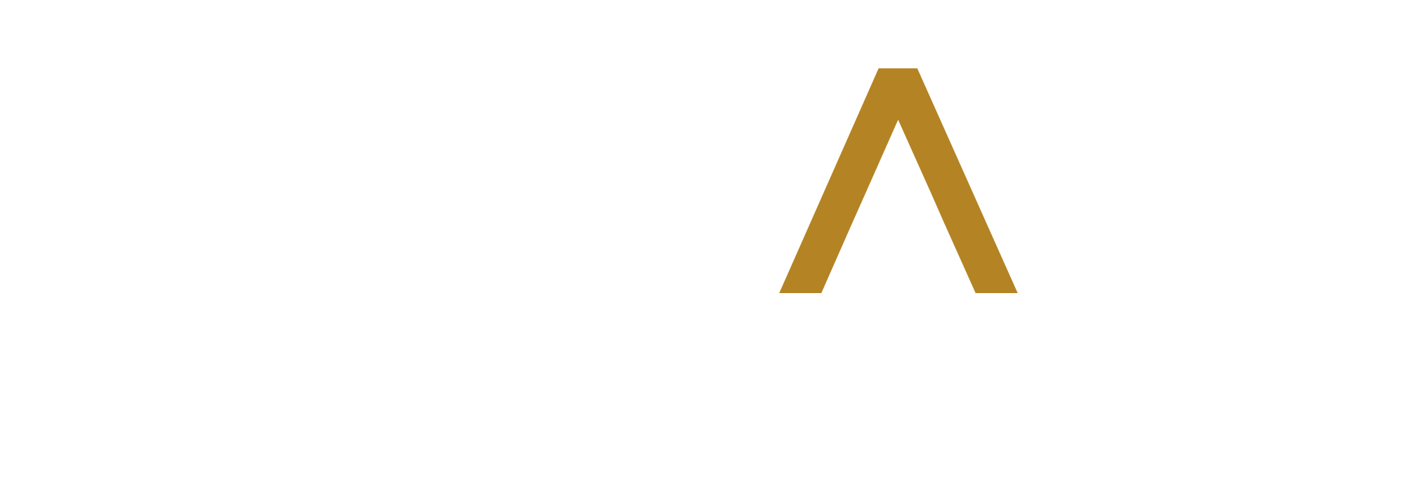 Elevate Real Estate